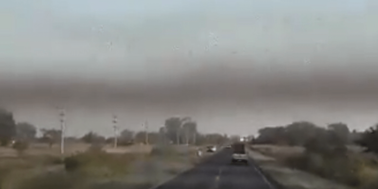 Argentina coloca fronteira gaúcha em atenção por nuvem de gafanhotos