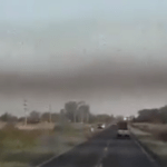 Saiba a posição atual da nuvem de gafanhotos na Argentina