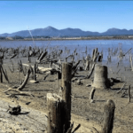 Uma ótima notícia para Curitiba: chuva