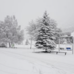 Nevadas atingem a Patagônia