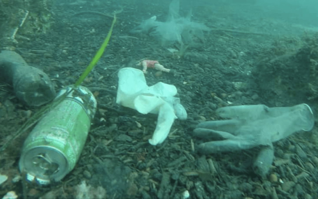 Epidemia traz novo problema ambiental: luvas e máscaras no mar