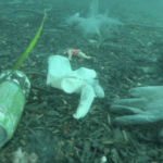 Epidemia traz novo problema ambiental: luvas e máscaras no mar