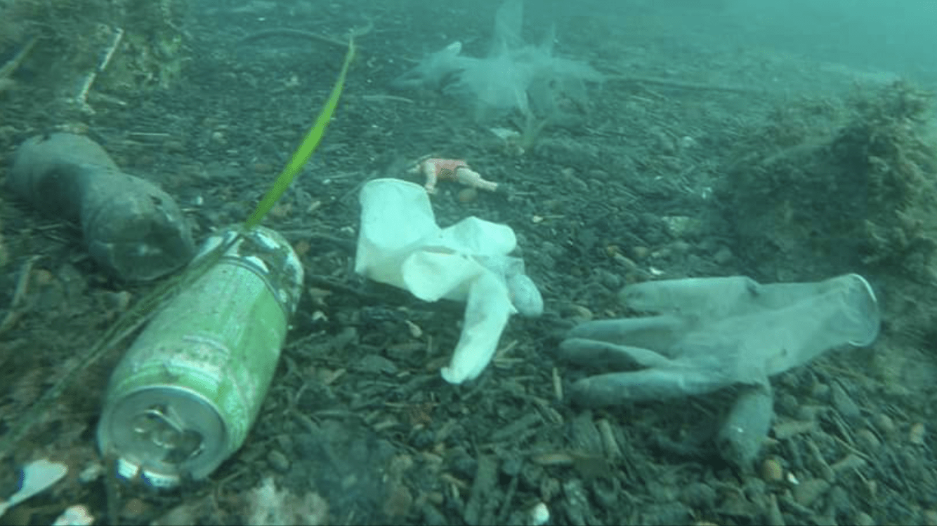 Epidemia traz novo problema ambiental: luvas e máscaras no mar