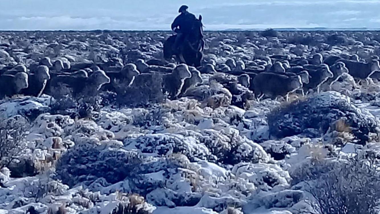 As incríveis imagens da grande nevada no Sul do continente