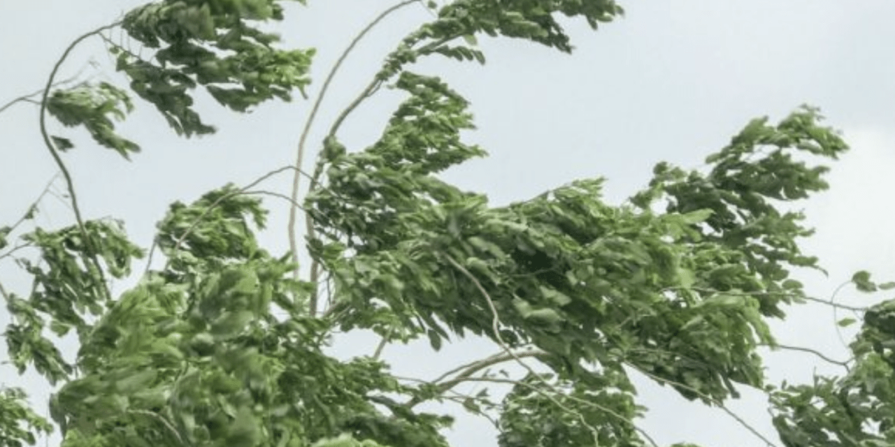 **ALERTA** Vento forte em parte do Rio Grande do Sul