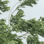 **ALERTA** Vento forte em parte do Rio Grande do Sul