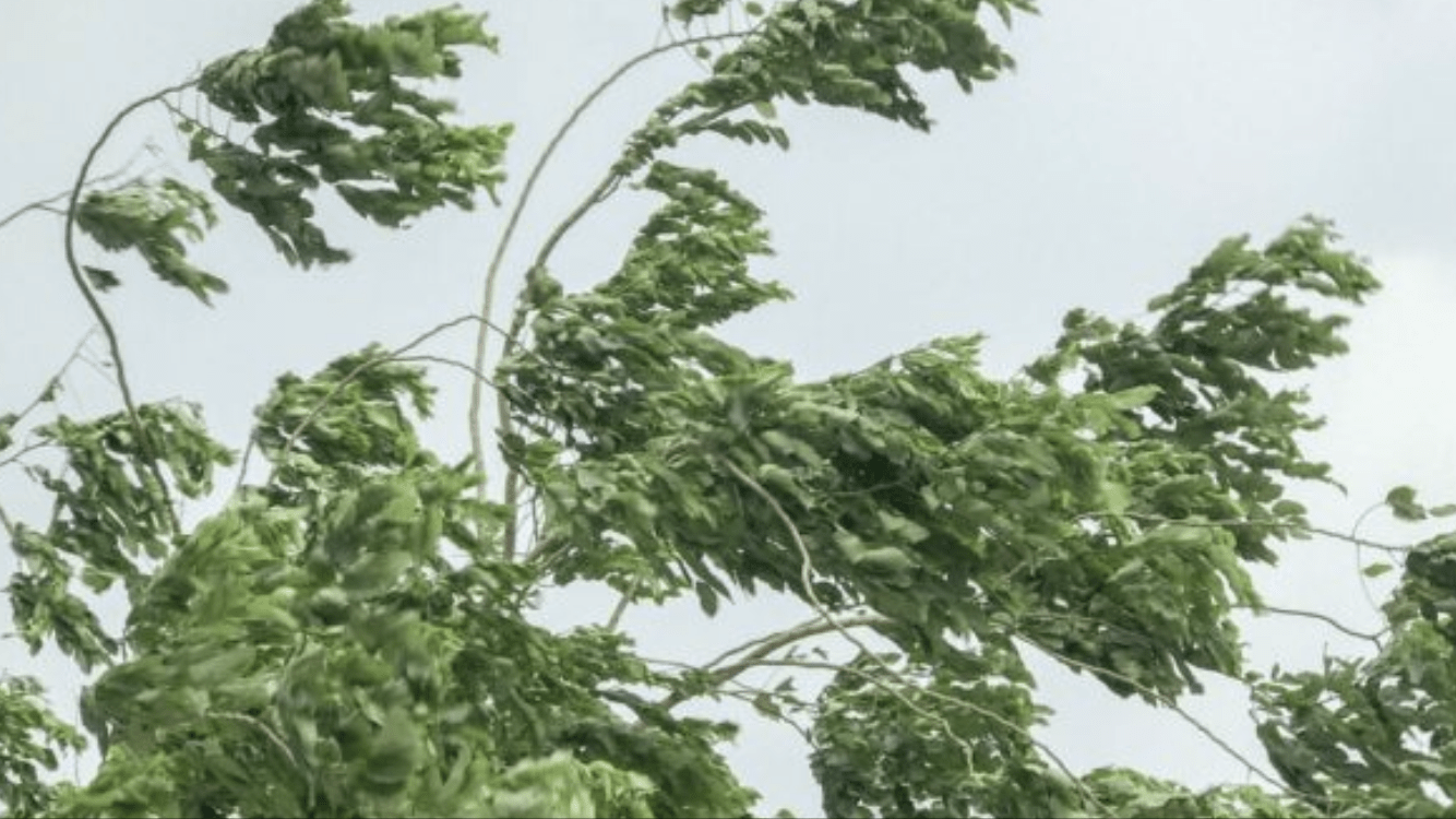 **ALERTA** Vento forte em parte do Rio Grande do Sul