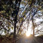 Veja a previsão do tempo para esta segunda-feira