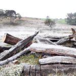 Veja as mínimas deste domingo no Rio Grande do Sul