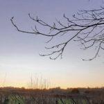 Veja a previsão do tempo para esta quarta-feira