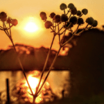 Veja a previsão do tempo para esta sexta-feira