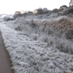 Quinta-feira começou ainda com marcas negativas no Estado