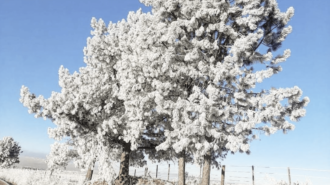 Frio trouxe imagens incríveis em Jaquirana