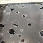 Granizo faz estragos na Argentina