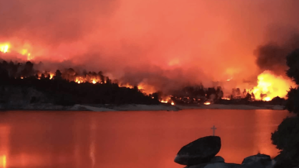 Calor, fogo e incêndios florestais em Portugal