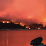 Calor, fogo e incêndios florestais em Portugal