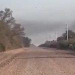 Impressionante vídeo da nova nuvem de gafanhotos na Argentina