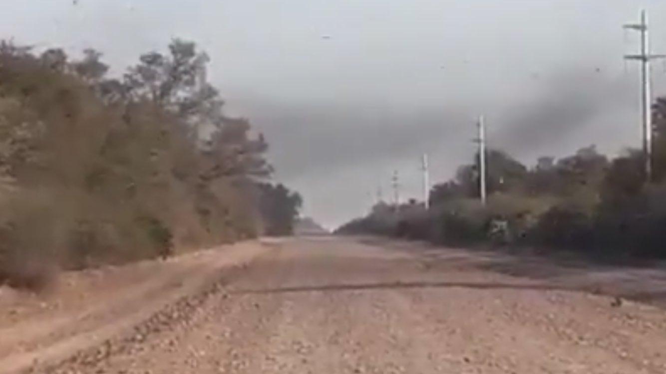 Impressionante vídeo da nova nuvem de gafanhotos na Argentina