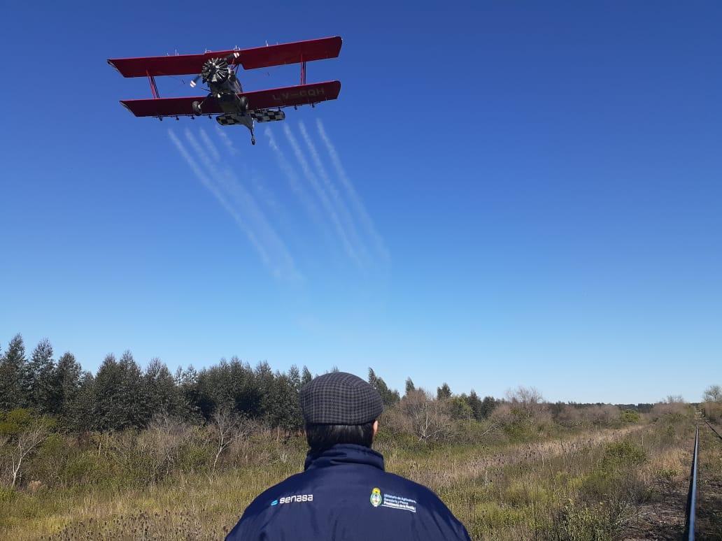 Sol e frio ajudam combate por terra e ar dos gafanhotos na Argentina