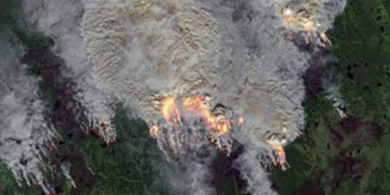 Florestas estão ardendo na Sibéria