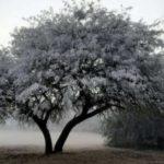 Argentina abaixo de zero de Sul a Norte