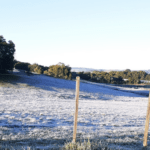 Sexta-feira vai começar muito fria e com geada ampla