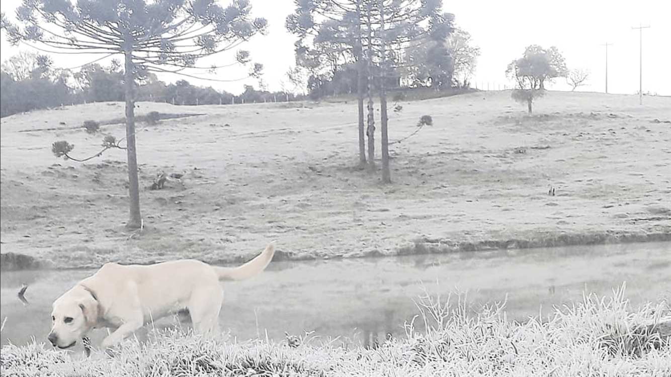 Rio Grande do Sul abaixo de zero no amanhecer mais frio de 2020