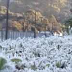 Previsão do tempo – Domingo começará com frio intenso e muita geada