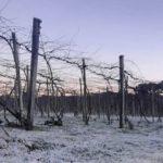 Quase 6°C abaixo de zero no Rio Grande do Sul