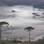 Santa Catarina já chega a 50 dias de mínimas negativas no ano