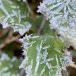 Grande parte do Uruguai abaixo de zero