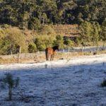 Previsão do tempo – Quarto dia seguido de mínima negativa