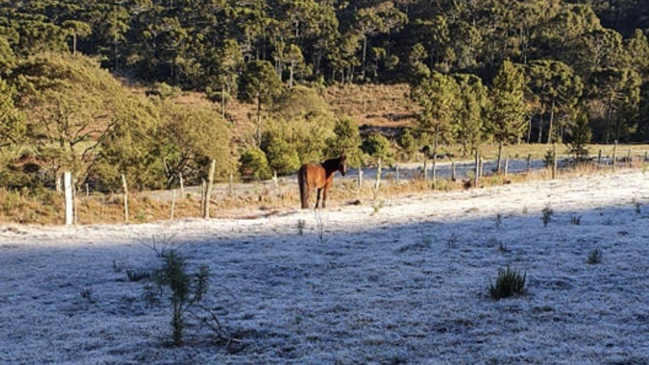 Previsão do tempo – Quarto dia seguido de mínima negativa