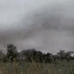 Impressionante vídeo mostra enorme nuvem de gafanhotos na Argentina