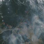 Dados e imagens de satélite mostram muitas queimadas na Amazônia