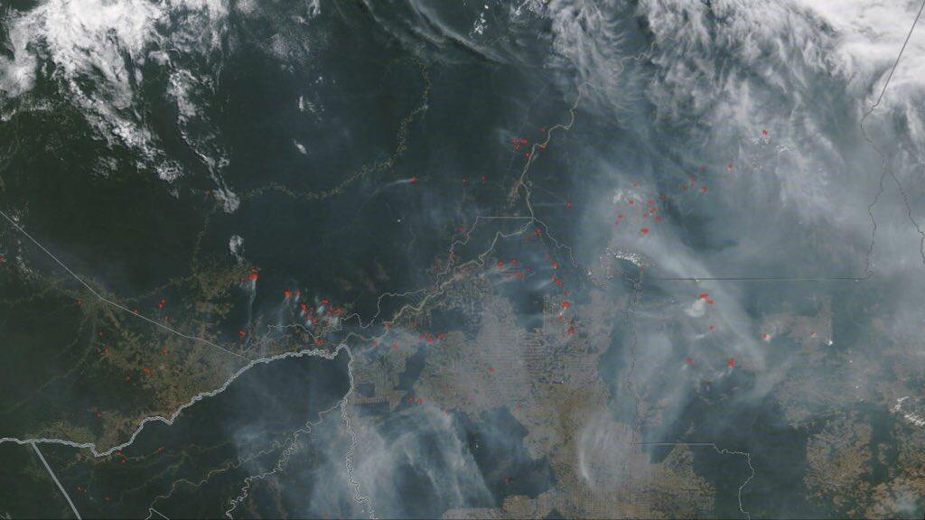 Dados e imagens de satélite mostram muitas queimadas na Amazônia