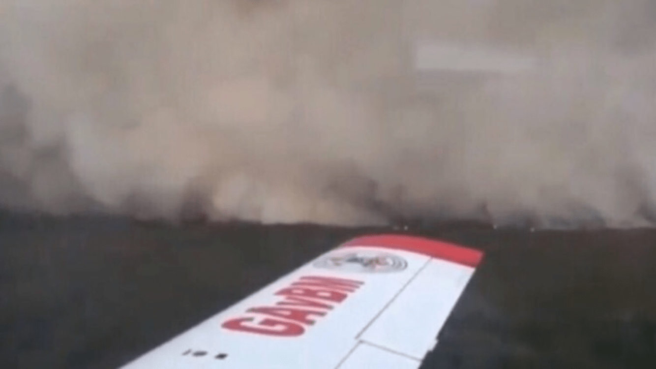 Estiagem contribui para recorde de queimadas no Pantanal