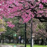 Previsão do tempo – O que esperar do mês de setembro?