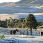 Previsão do tempo – Rio Grande do Sul tem nova mínima negativa