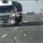 Mapa mostra a última posição das nuvens de gafanhotos