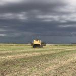Previsão do tempo – Projeção de chuva para 45 dias