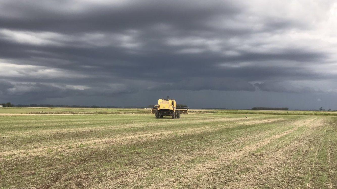 Previsão do tempo – Projeção de chuva para 45 dias