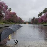 Previsão do tempo – Resfriamento de 20°C em 24 horas