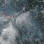Satélites mostram que a Amazônia está queimando