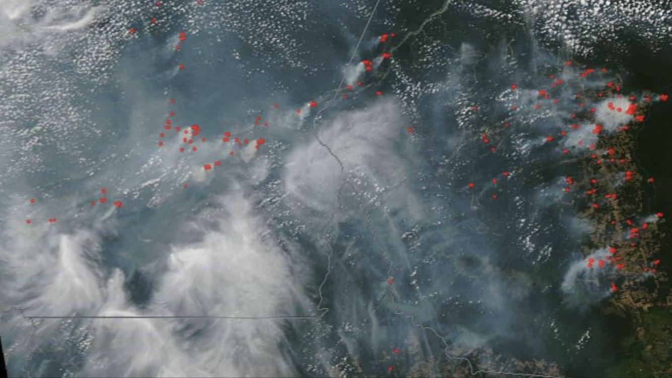 Satélites mostram que a Amazônia está queimando