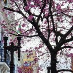 Previsão do tempo – Tarde fria no Rio Grande do Sul