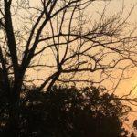 Veja a previsão do tempo para este domingo de Dia dos Pais