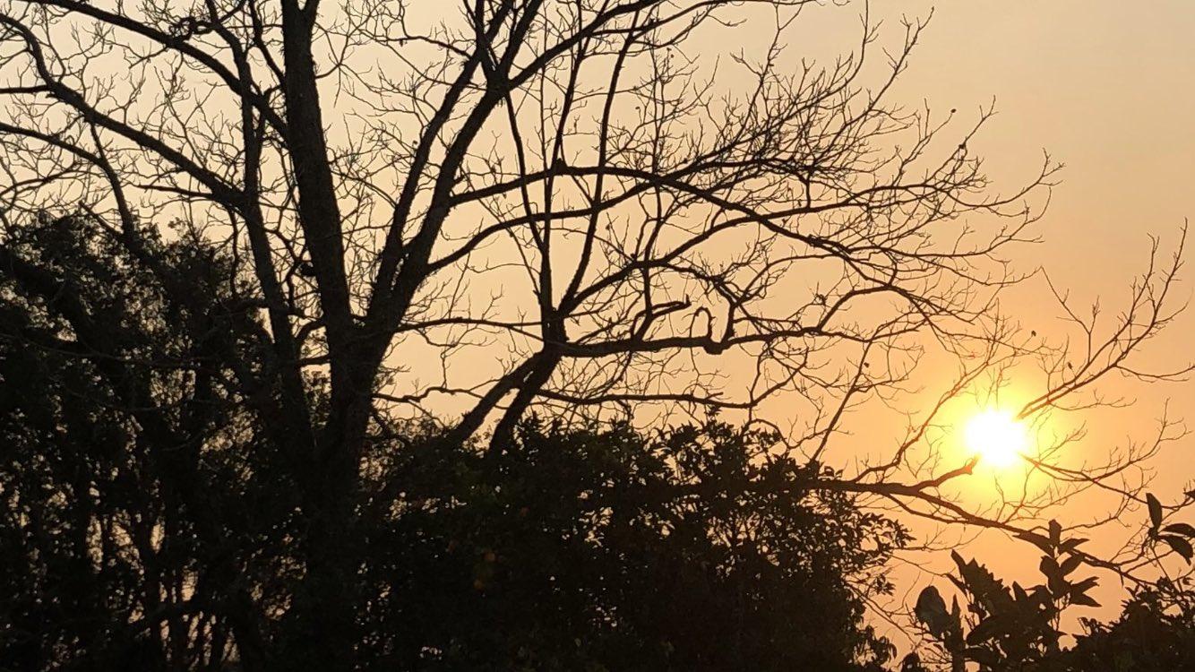 Veja a previsão do tempo para este domingo de Dia dos Pais