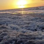 Espuma cobre praia no Sul gaúcho – Veja fotos