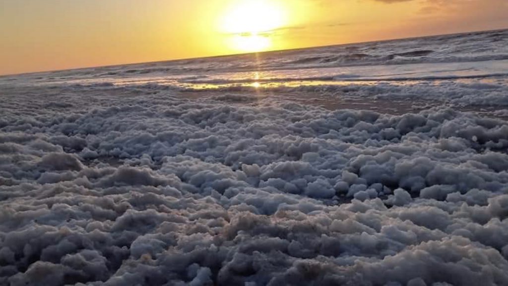 Espuma cobre praia no Sul gaúcho – Veja fotos